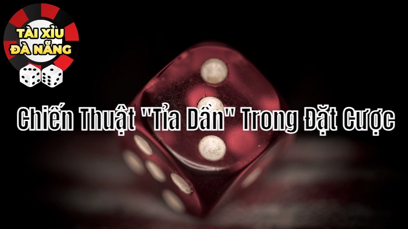 Chiến Thuật "Tỉa Dần" Trong Đặt Cược Tài Xỉu: Khi Nào Nên Sử Dụng?